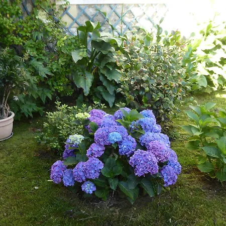 Chez L'habitant